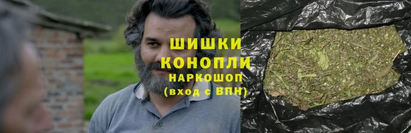 шишки Абаза