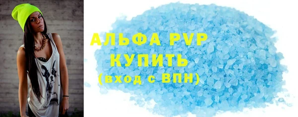 шишки Абаза