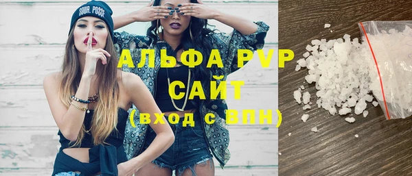 шишки Абаза