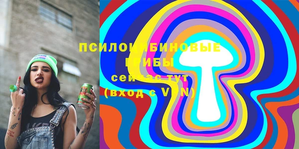 шишки Абаза