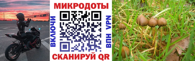 это какой сайт  дарнет шоп  Лесозаводск  Псилоцибиновые грибы мухоморы 