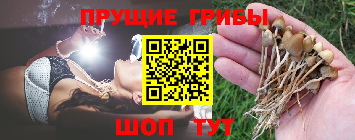 Галлюциногенные грибы ЛСД  Псилоцибиновые грибы Psilocybine cubensis  Вход с VPN  Лесозаводск 